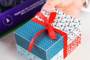 Softbox Custom: Solusi Kemasan Praktis untuk Bisnis Hampers